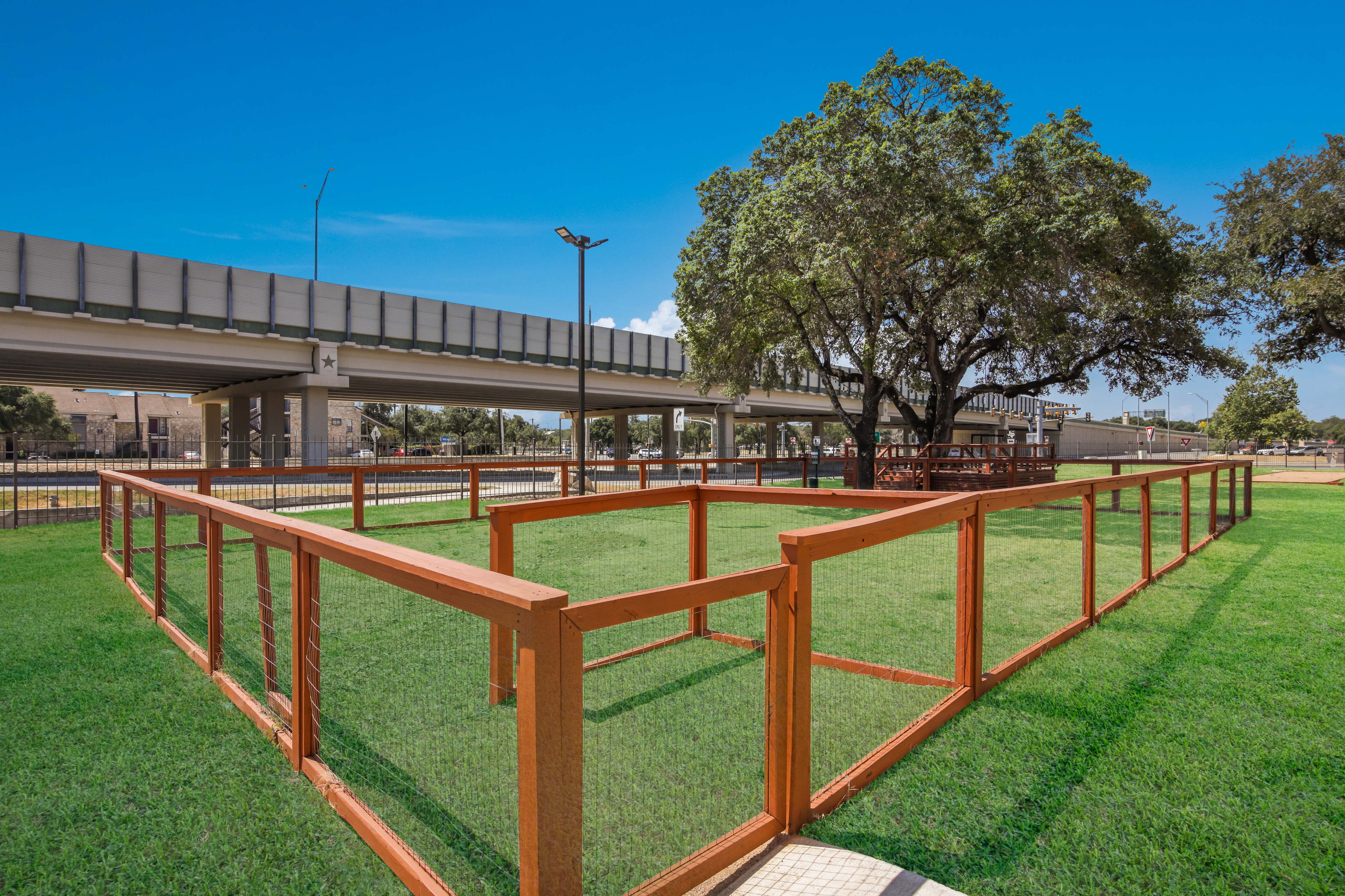 A fenced area in a green park under a clear blue sky, with a tree nearby and an overpass in the background.