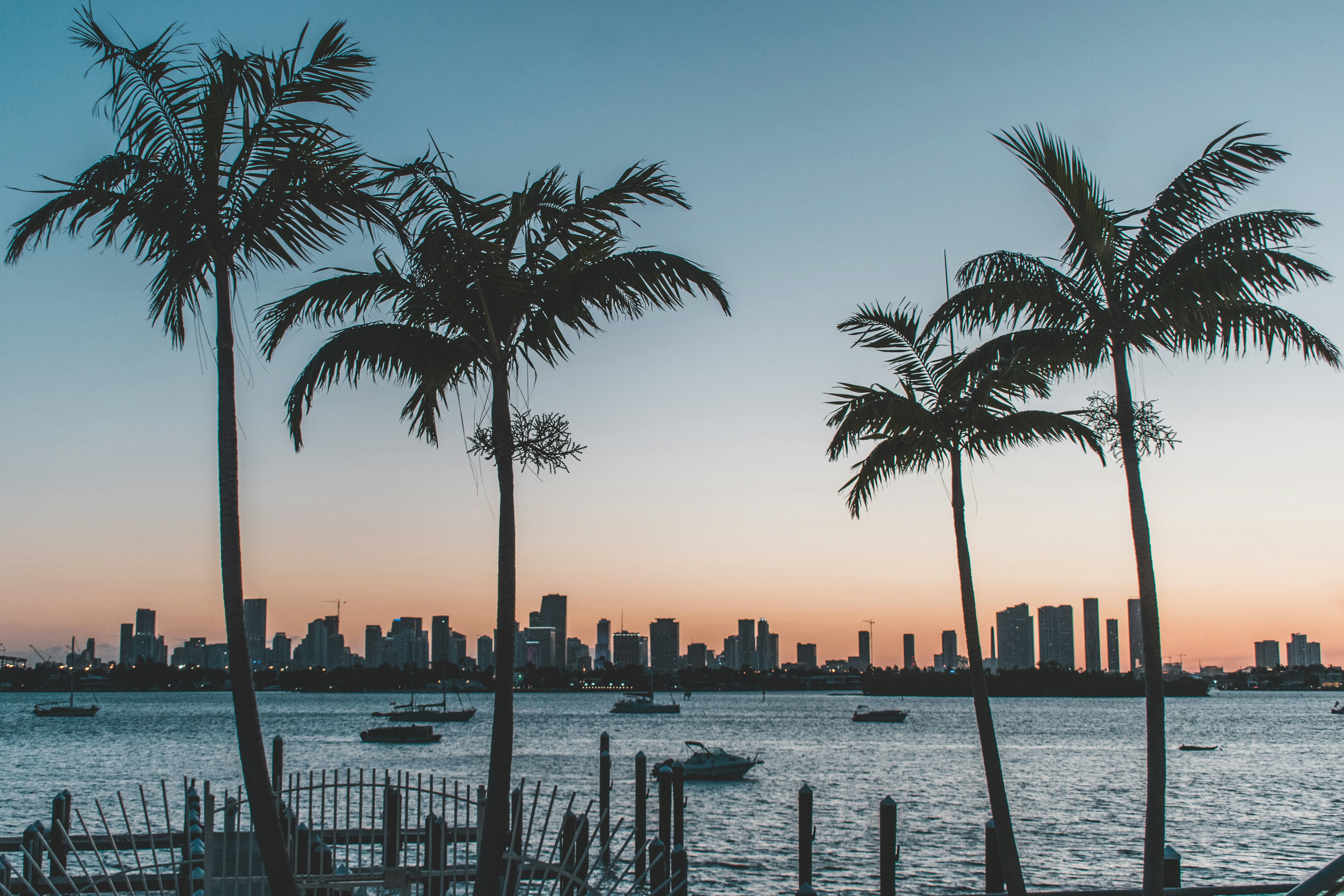 Silhouette of palm trees in front of a city skyline at sunset over water.