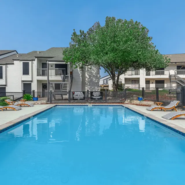 Fenced-in community pool with lounge chairs and one tree providing natural shade. 