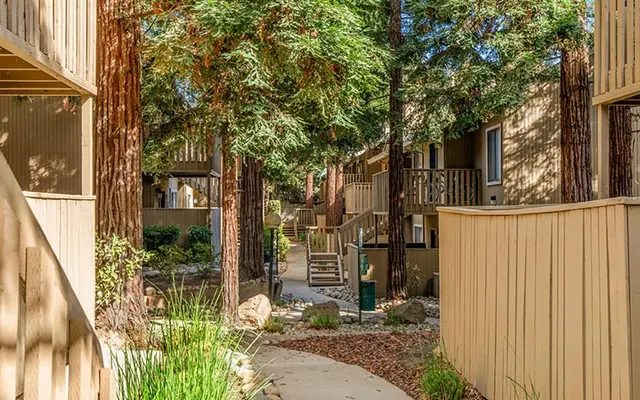 Tahoe at Fair Oaks - Tree, Yard, Plant