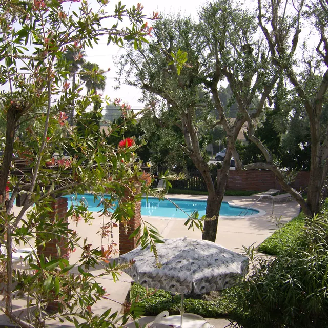 La Casitas Apartments - Summer, Garden, Nature