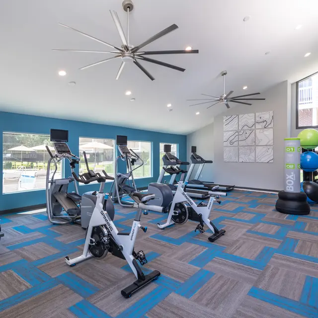 Vantage Point - Ceiling Fan, Fitness, Working Out