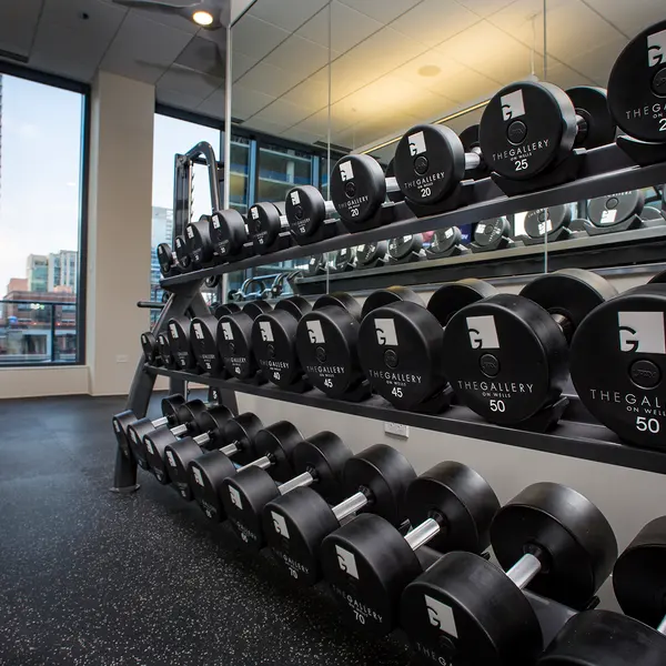 The Gallery on Wells - Fitness, Gym, Sport