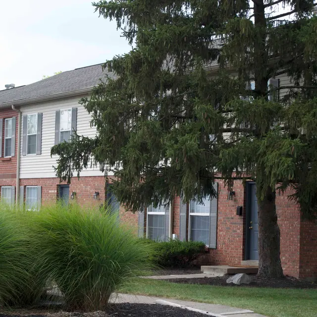 Normandy on The Green - Grass, Neighborhood, Tree