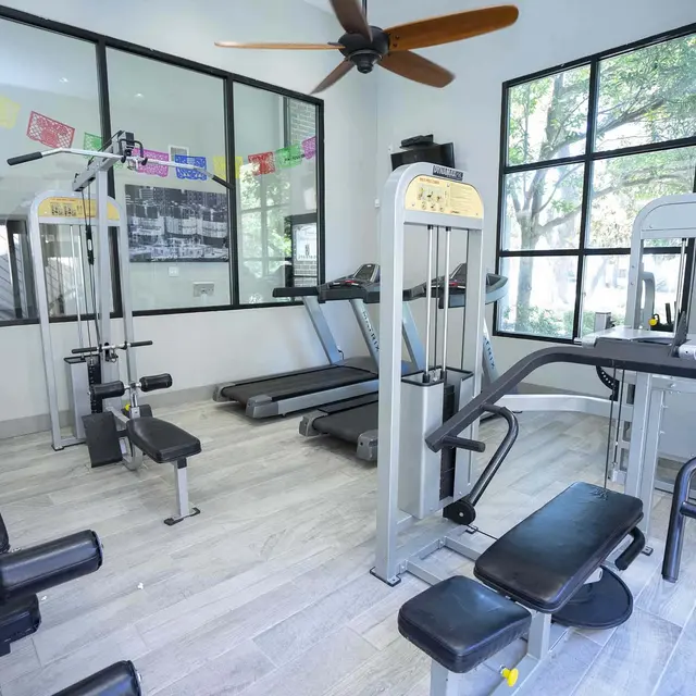 Mosaic at Medical Center Mosaic at Medical Center - Ceiling Fan, Electrical Device, Fitness