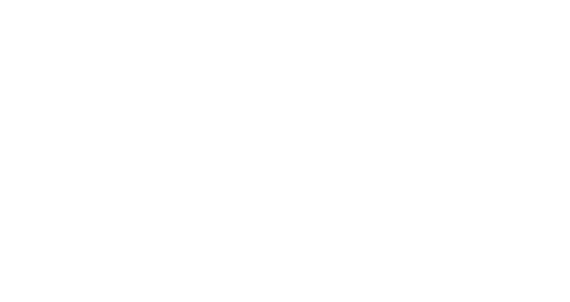 Elan