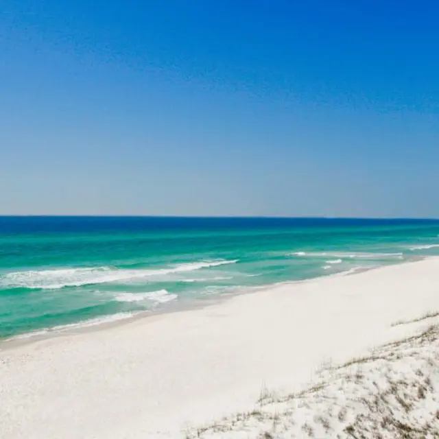 Sea Sound - Shoreline, Nature