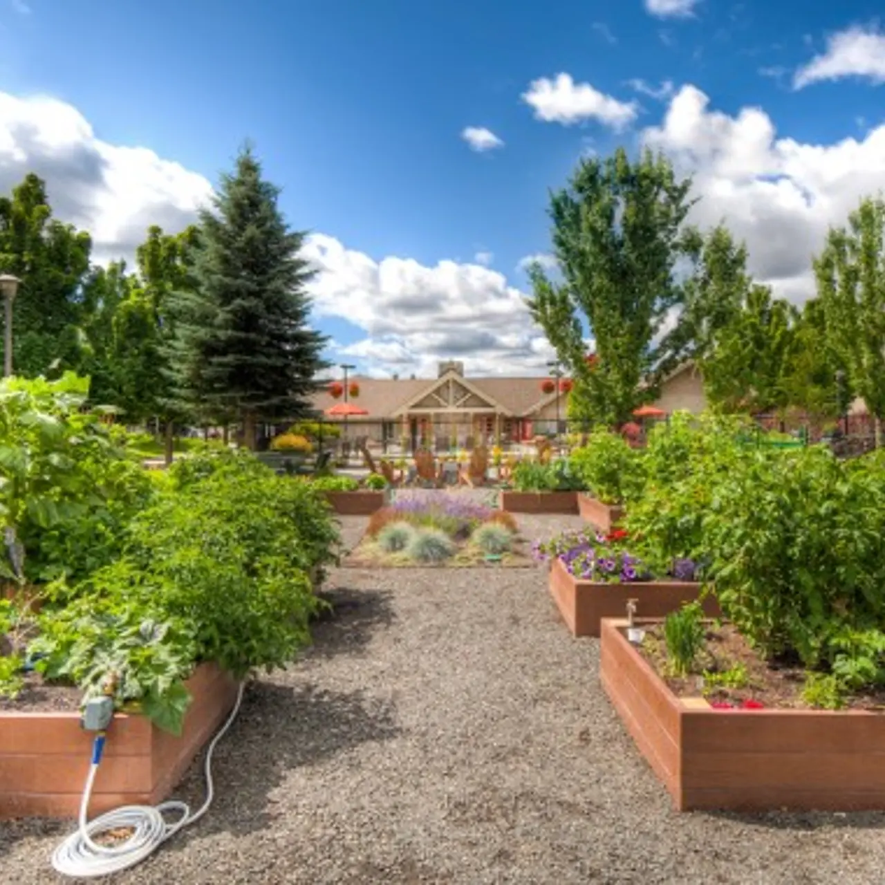 Big Trout Lodge Big Trout Lodge - Building, Yard