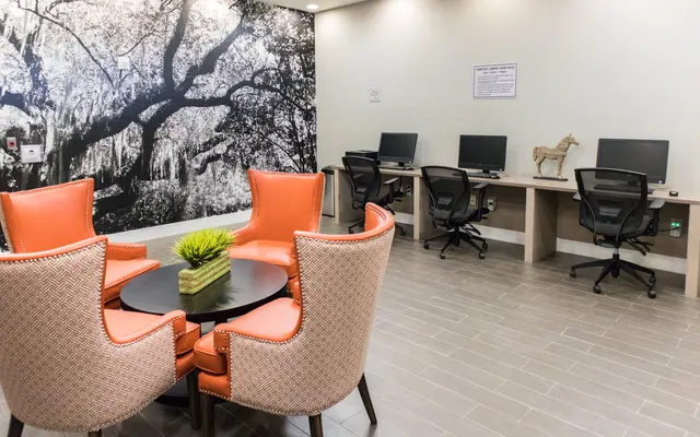 Gibson Plaza Apartments Cyber lounge