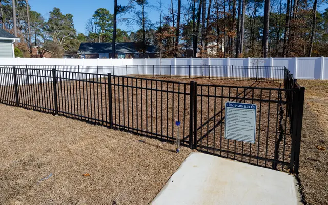 The Cape at Sandy Neck - Backyard, Nature, Outdoors