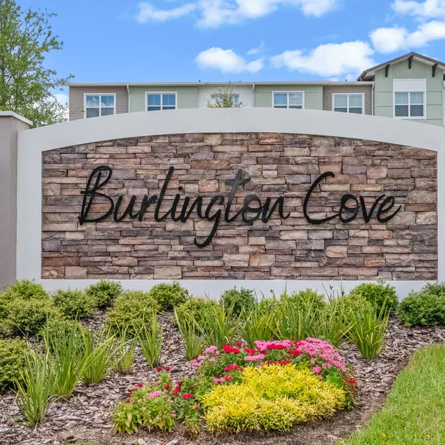 Burlington Cove - Grass, Backyard, Nature