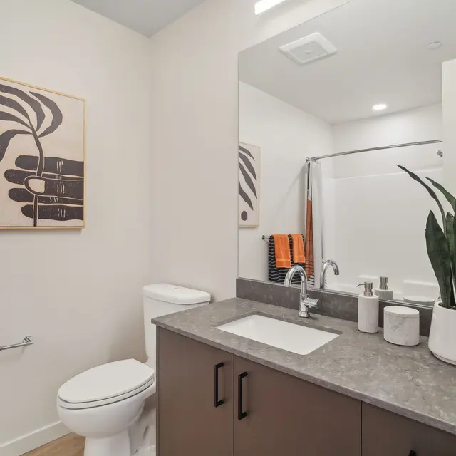 Vicino Vicino - Sink, Plant, Painting