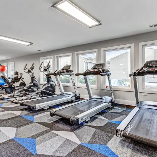 Modern gym with treadmills, ellipticals, and colorful patterned carpet, illuminated by natural light from large windows.