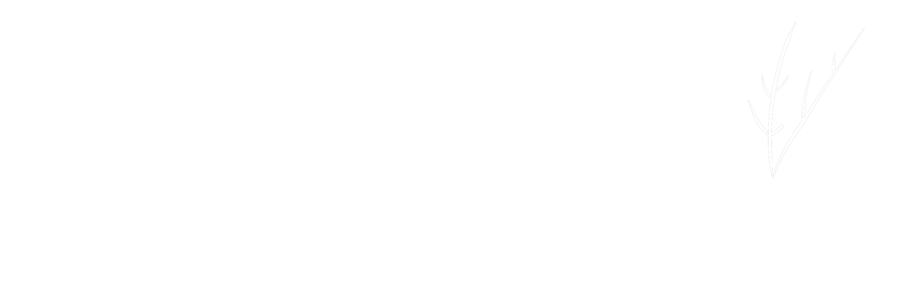 Village at Fox Creek