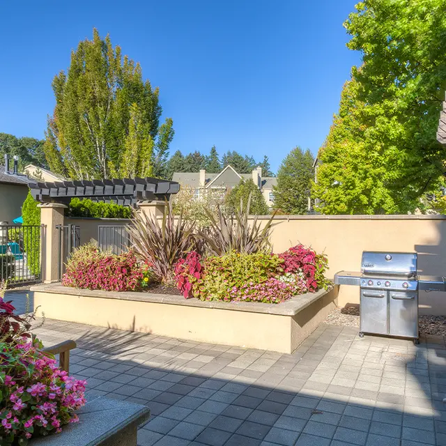 Palladia - Yard, Patio