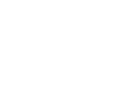 The Palms on Lamar