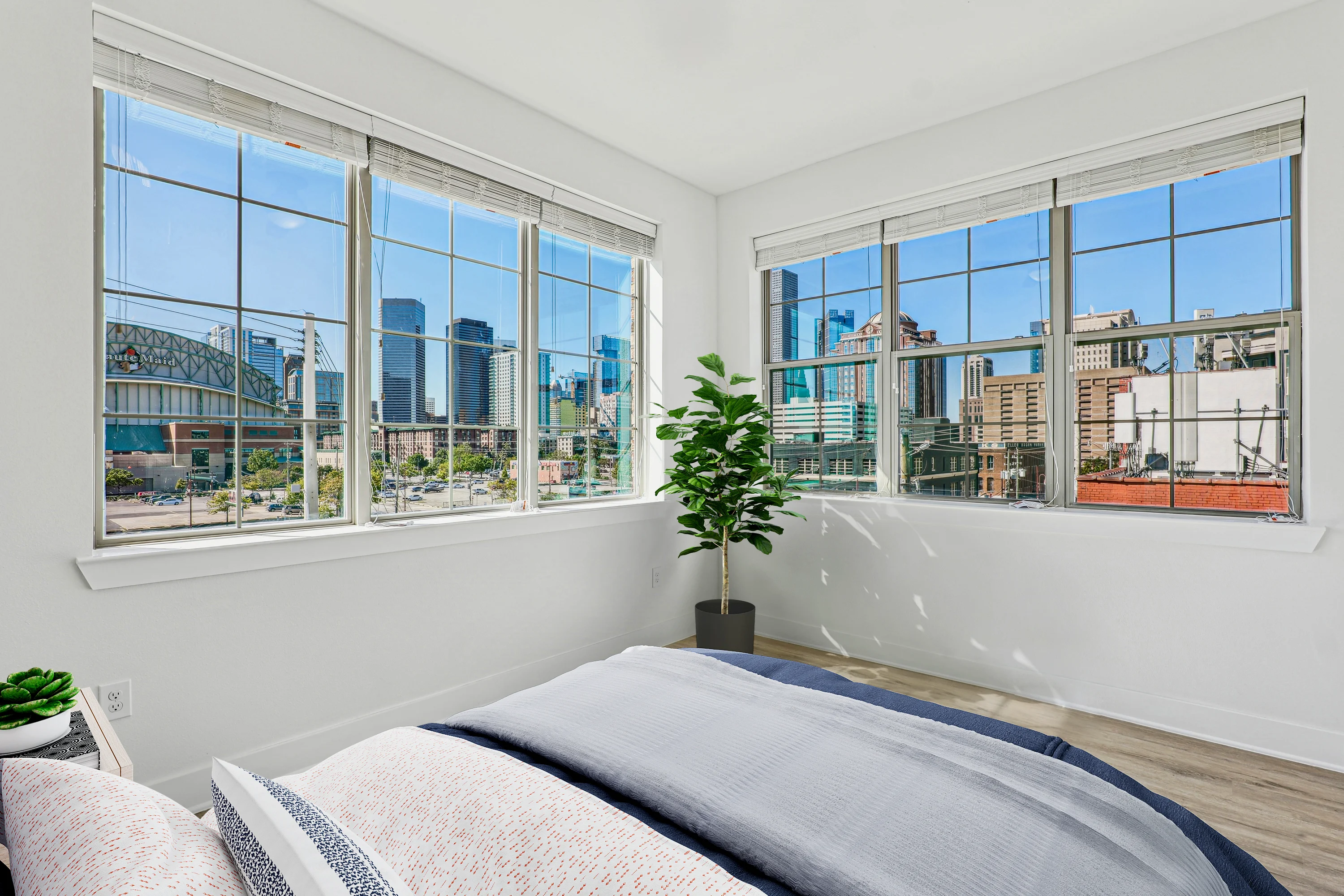 City View Lofts City View Lofts - Window, French Window, Plant