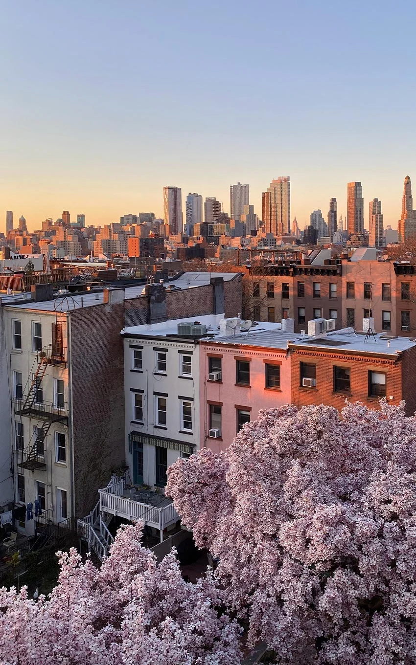 Rose Valley Management Corp - City, Urban