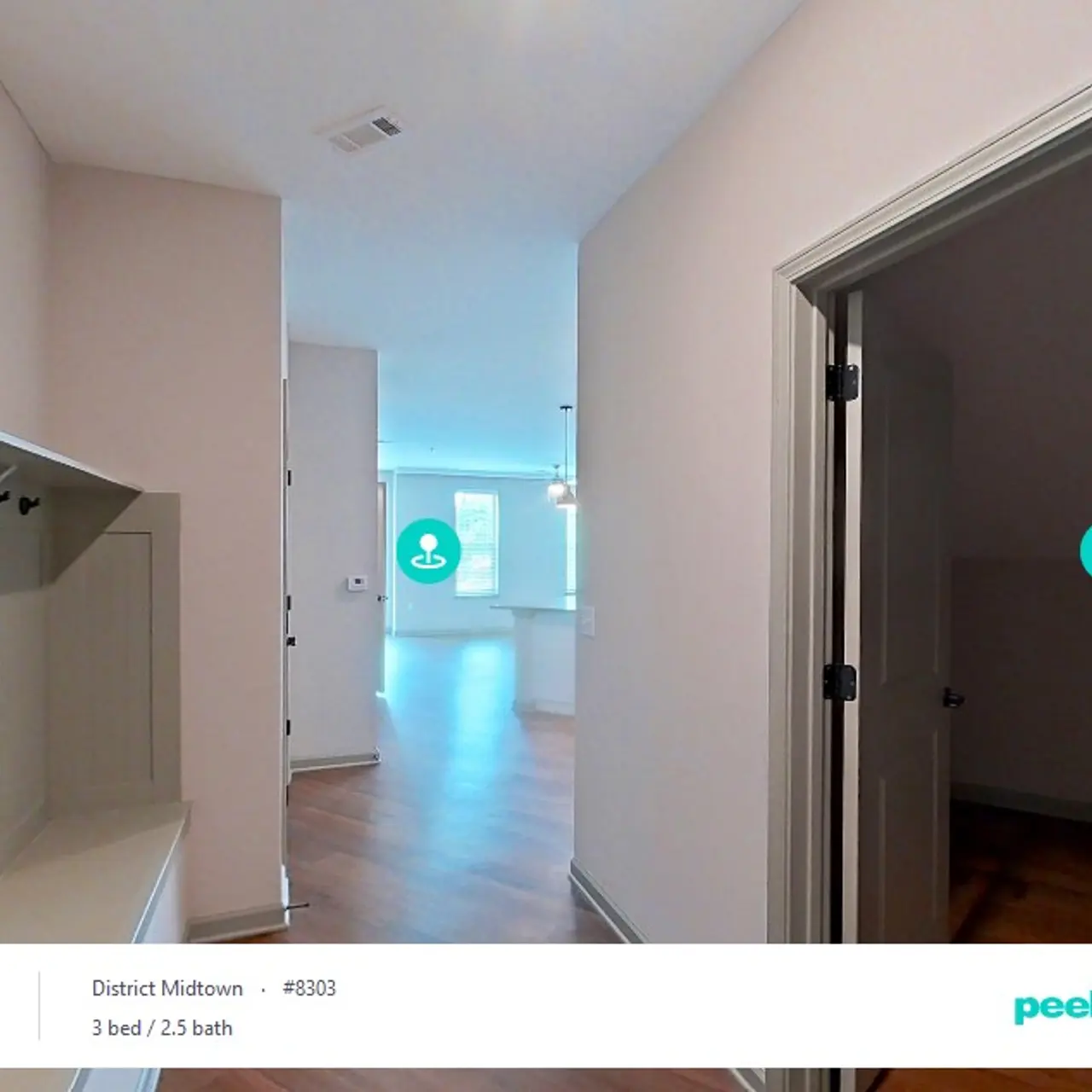 Palmetto III Palmetto III