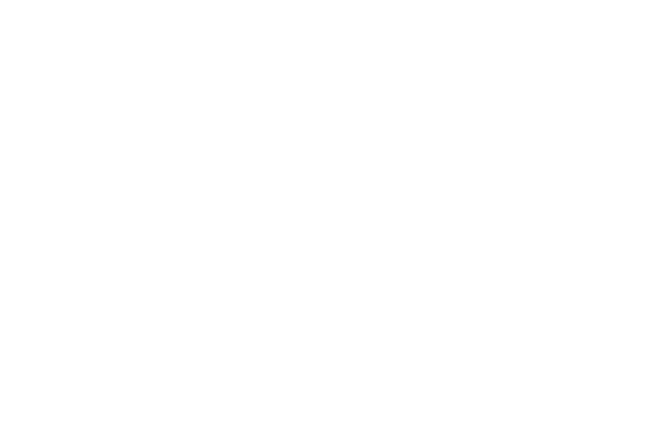 Nex-Gen Management Nex-Gen Management