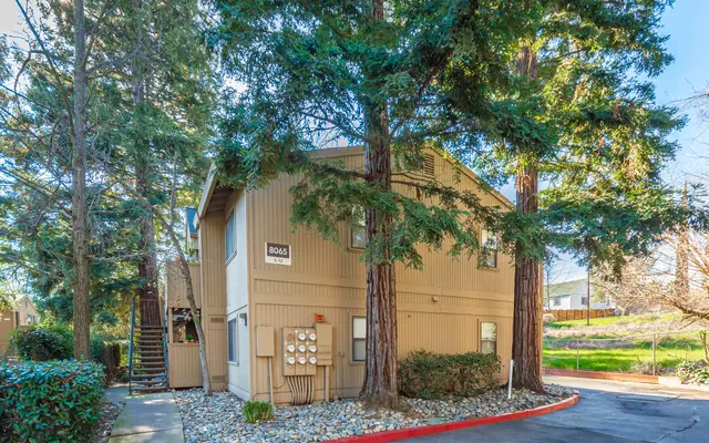 Donner at Fair Oaks - Tree, Interior Design, Outdoors