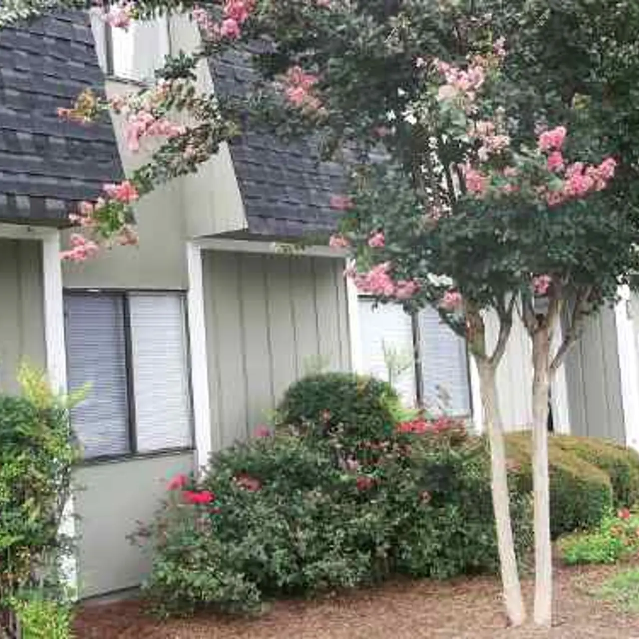 Conwayborough - Neighborhood, Backyard, Nature
