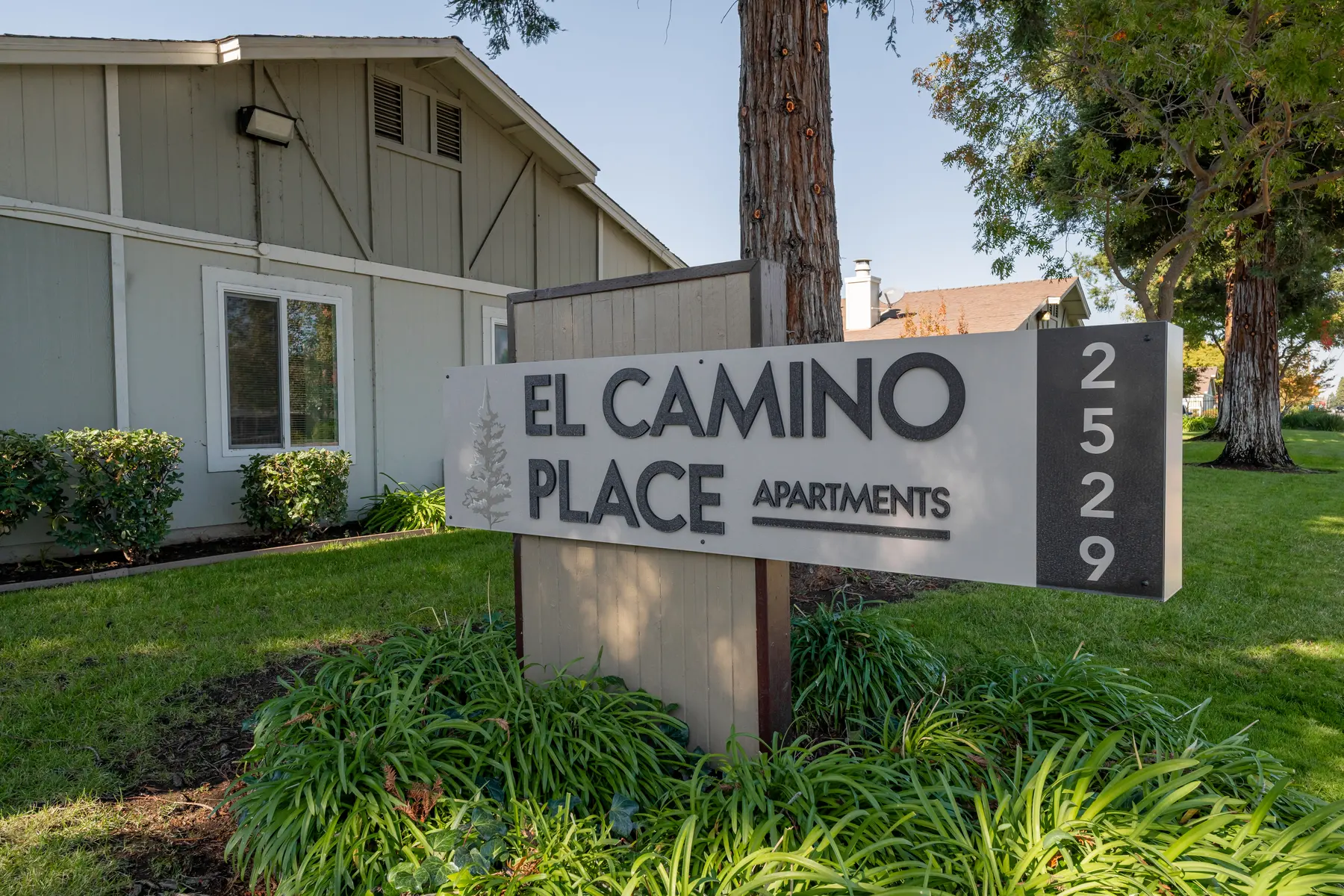 El Camino Place - Grass, Vegetation, Lawn