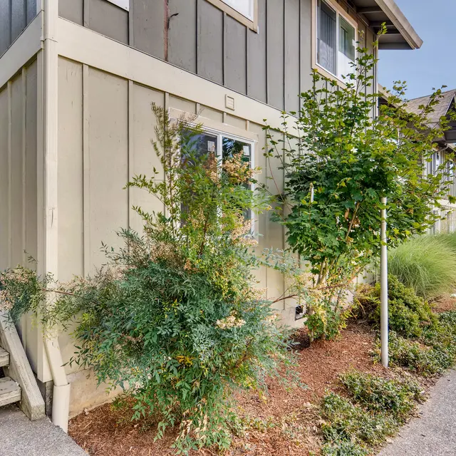 Urban Asset Advisors