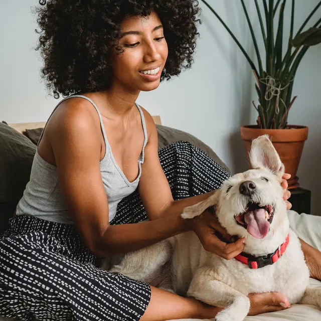 Sabine Apartments - Bedroom, Person, Dog, Mammal