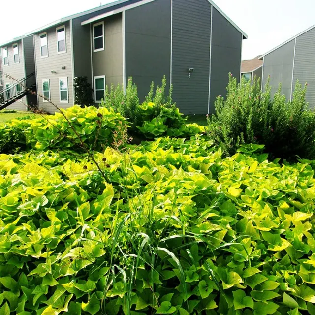 The Boulders - Neighborhood, Backyard, Nature