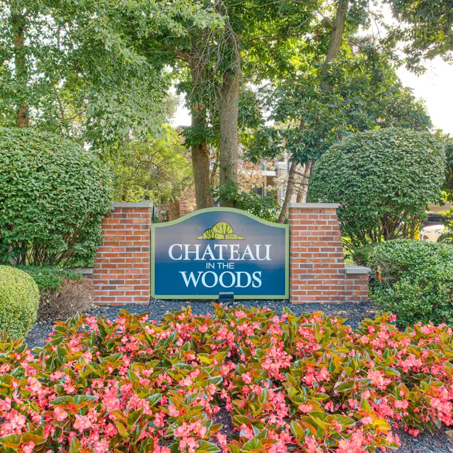 Chateau in the Woods - Grass, Nature, Outdoors