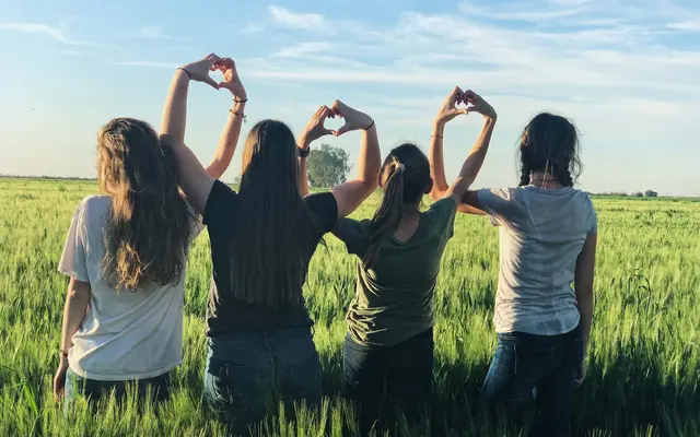 Four women standing in a field, making heart shapes with their arms, enjoying a sunny day.