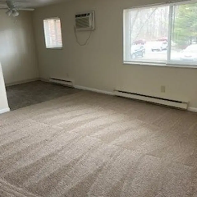 Lakewood Park - Floor, Flooring, Home Decor