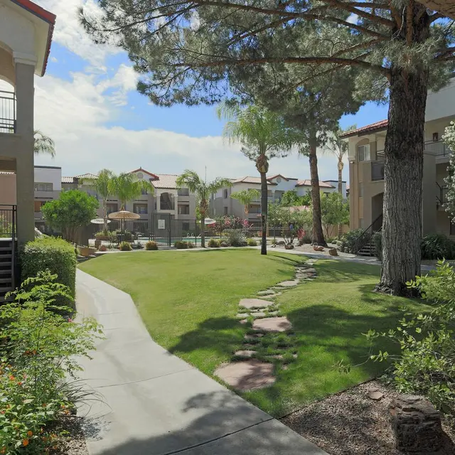 Lantana - Neighborhood, Grass, City