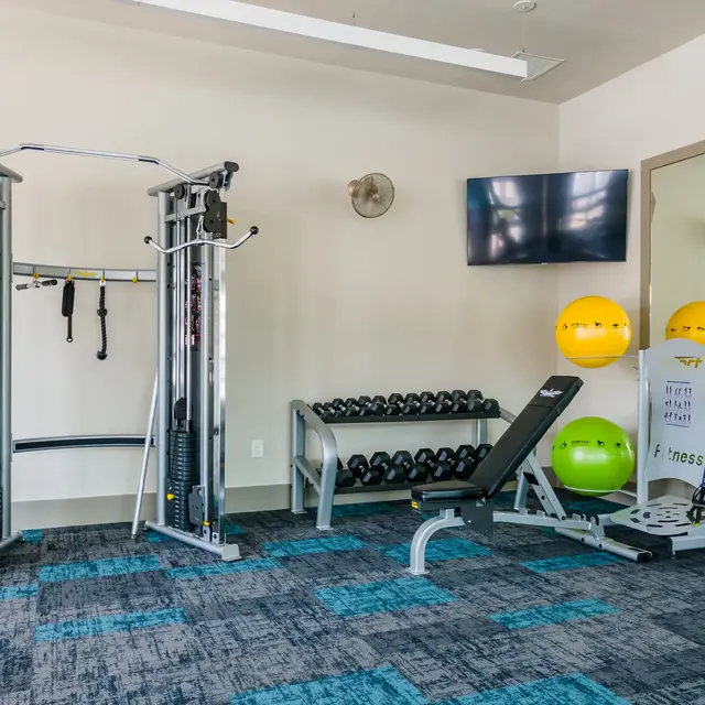 ShoreView A fitness center with a large mirror, a weight machine, a stand with dumbbells, medicine balls, a TV and small wall fan.