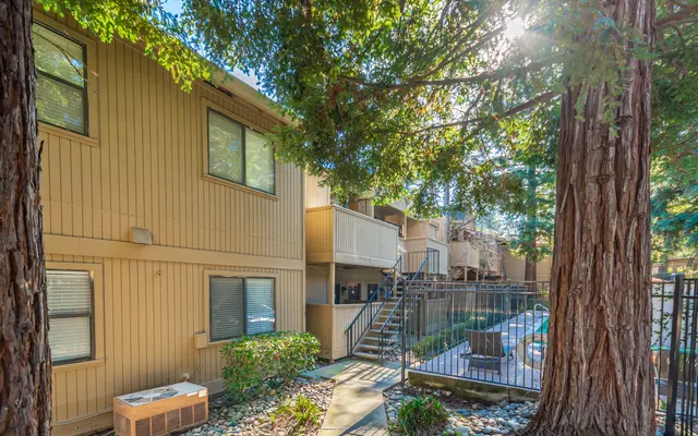 Donner at Fair Oaks - Tree, City, Neighborhood