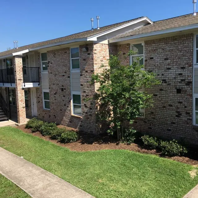Cleme Manor - Grass, Plant, Lawn