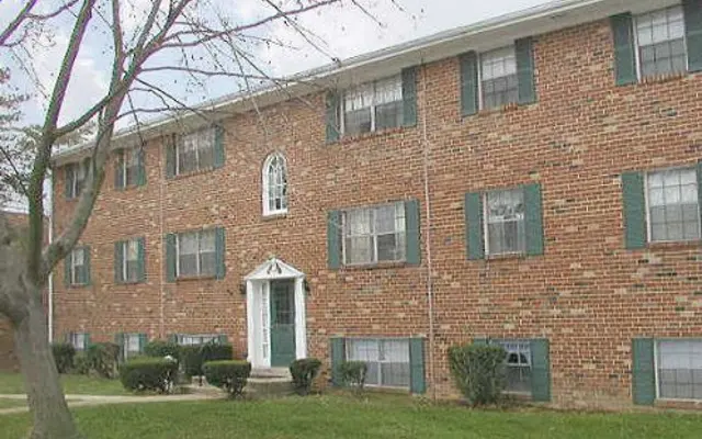 Stonehurst Garden - Urban, Yard