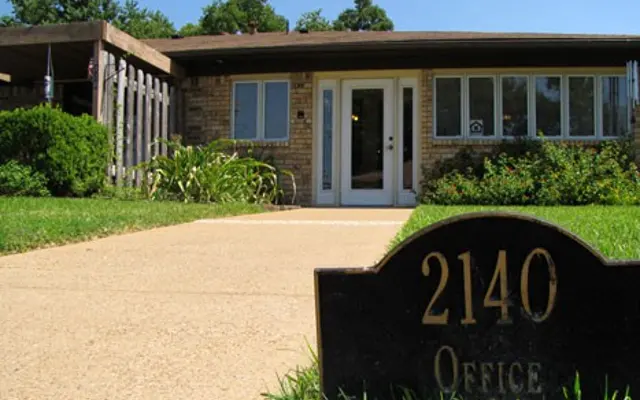 Holy Cross Bossier - Plant