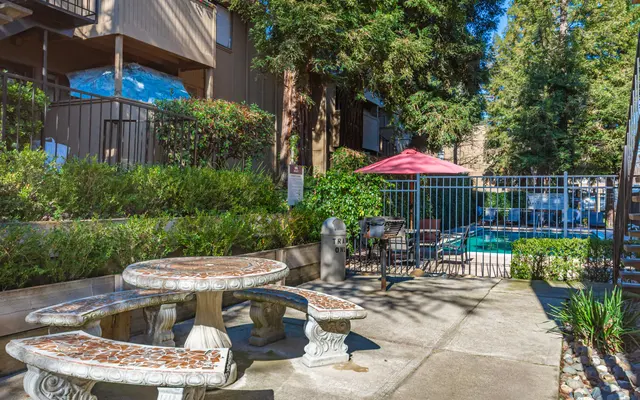 Donner at Fair Oaks - Nature, Outdoors, Scenery