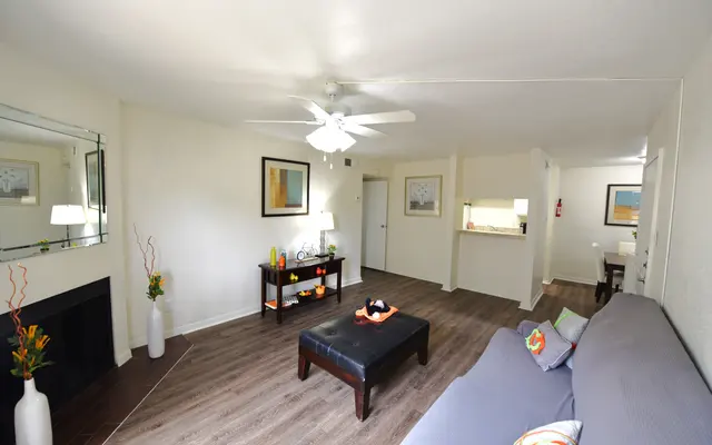 Model Living Room Model Living Room