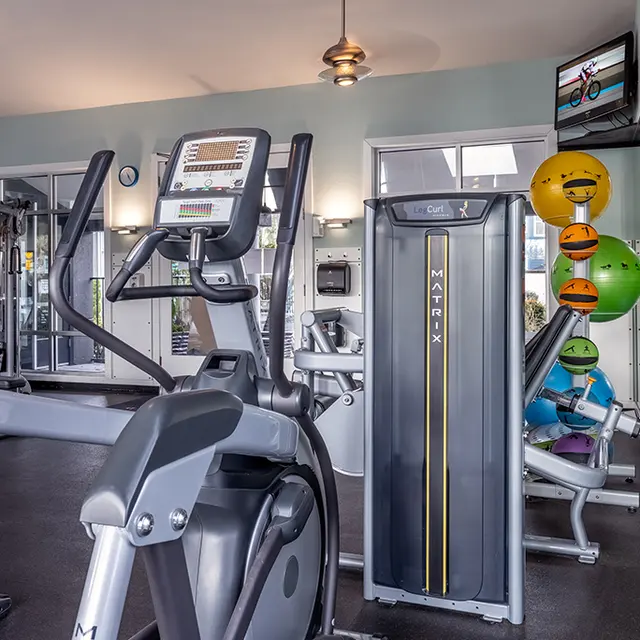 Palladia - Gym, Sport