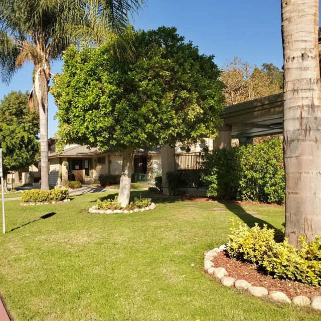 Amberwood Apartments - Grass, Villa, Nature