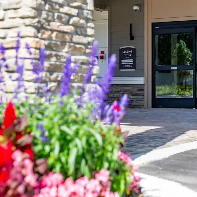 Rochester Park - Path, Flower, Geranium