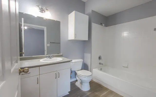 High Meadow Apartments - Tub, Room