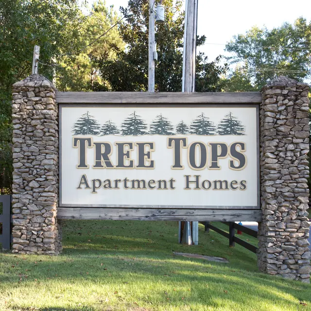 Tree Tops - Grass, Nature, Outdoors