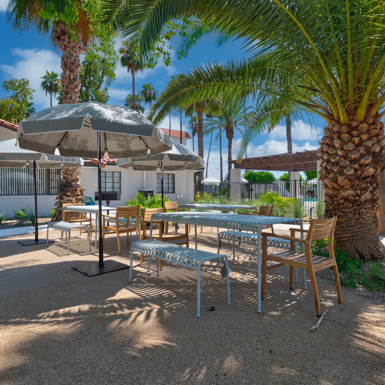 Echelon Echelon - Summer, Chair, Patio