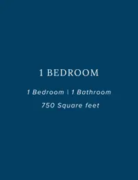 1 Bedroom Large