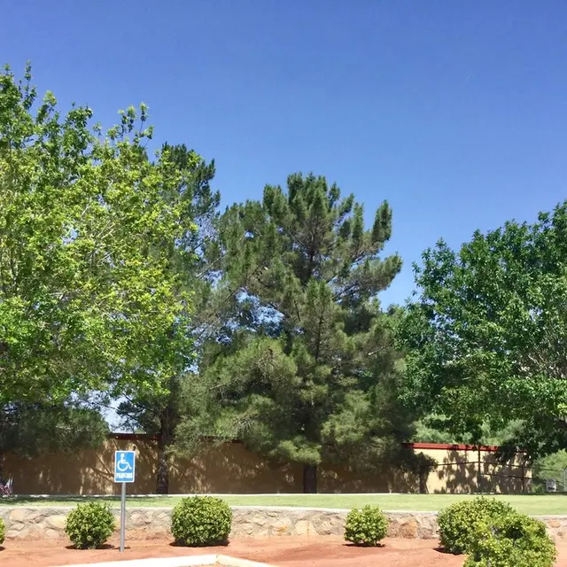 Brisa Apartments - Car, Bush, Tree