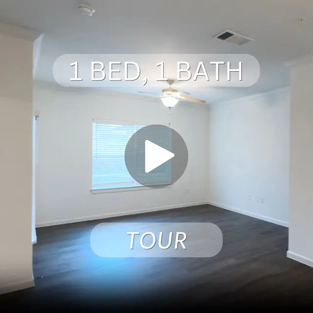 1 Bed 1 Bath Bellingham 